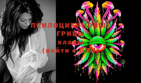 мяу мяу мука Гусев