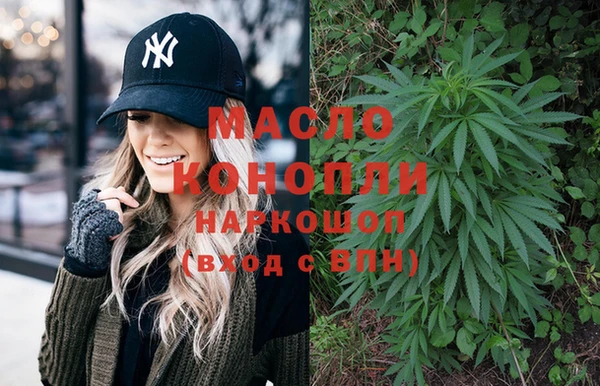 мяу мяу мука Гусь-Хрустальный