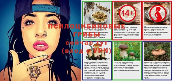 мяу мяу мука Гусев