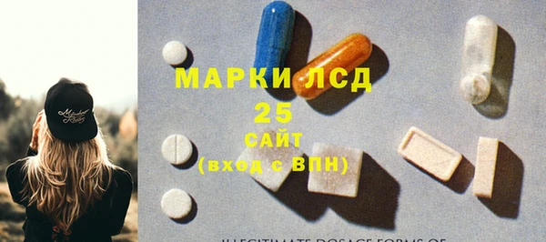 мяу мяу мука Гусь-Хрустальный
