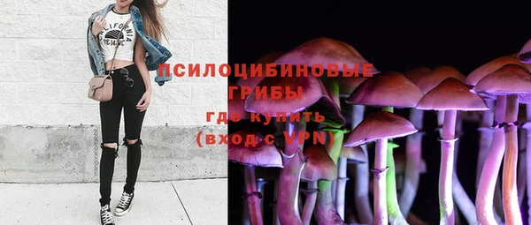 круглые Гусиноозёрск