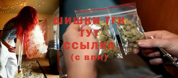 мяу мяу мука Гусь-Хрустальный