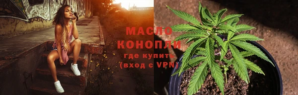 мяу мяу мука Гусь-Хрустальный