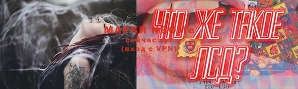 мяу мяу мука Гусь-Хрустальный